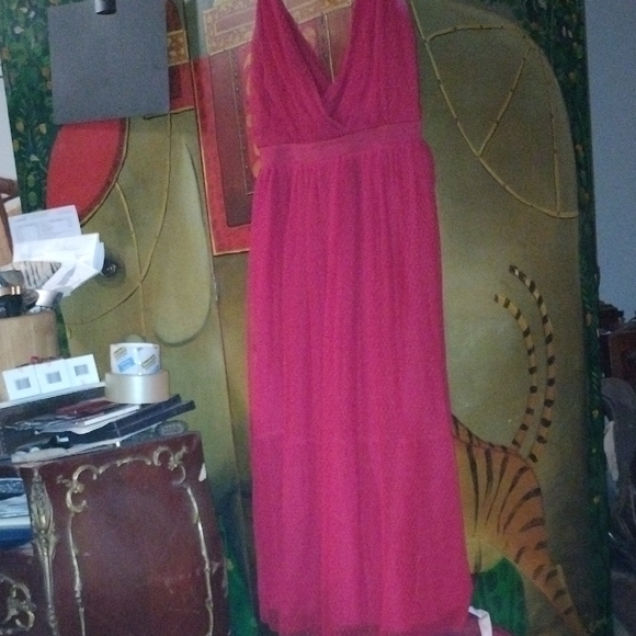 Express Dresses & Skirts - Express Vibrant Red Maxi Dress